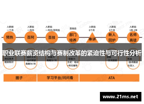 职业联赛薪资结构与赛制改革的紧迫性与可行性分析